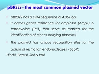  pBR322 has a DNA sequence of 4,361 bp.
 It carries genes resistance for ampicillin (Amp1) &
tetracycline (Tel1) that serve as markers for the
identification of clones carrying plasmids.
 The plasmid has unique recognition sites for the
action of restriction endonucleases - EcoRl,
Hindlll, BamHl, Sall & Pstll
 