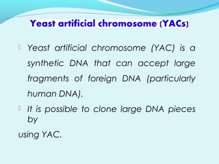  Yeast artificial chromosome (YAC) is a
synthetic DNA that can accept large
fragments of foreign DNA (particularly
human DNA).
 It is possible to clone large DNA pieces
by
using YAC.
 