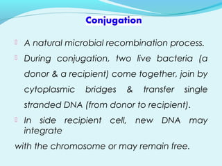  A natural microbial recombination process.
 During conjugation, two live bacteria (a
donor & a recipient) come together, join by
cytoplasmic bridges & transfer single
stranded DNA (from donor to recipient).
 In side recipient cell, new DNA may
integrate
with the chromosome or may remain free.
 