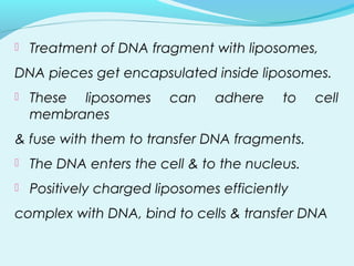  Treatment of DNA fragment with liposomes,
DNA pieces get encapsulated inside liposomes.
 These liposomes can adhere to cell
membranes
& fuse with them to transfer DNA fragments.
 The DNA enters the cell & to the nucleus.
 Positively charged liposomes efficiently
complex with DNA, bind to cells & transfer DNA
 