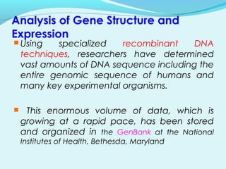 Analysis of Gene Structure and
Expression
 Using specialized recombinant DNA
techniques, researchers have determined
vast amounts of DNA sequence including the
entire genomic sequence of humans and
many key experimental organisms.
 This enormous volume of data, which is
growing at a rapid pace, has been stored
and organized in the GenBank at the National
Institutes of Health, Bethesda, Maryland
 