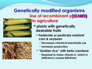 Genetically modified organisms
(GMO)Use of recombinant plasmids
in agriculture
plants with genetically
desirable traits
 herbicide or pesticide resistant
corn & soybean
 Decreases chemical insecticide use
 Increases production
 “Golden rice” with beta-carotene
 Required to make vitamin A, which in
deficiency causes blindness
 