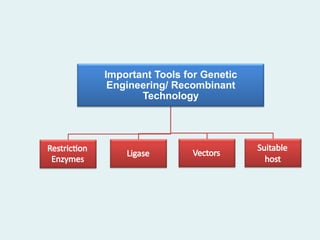 Important Tools for Genetic
Engineering/ Recombinant
Technology
Restriction
Enzymes
Ligase Vectors
Suitable
host
 