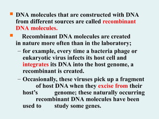  DNA molecules that are constructed with DNA
from different sources are called recombinant
DNA molecules.
 Recombinant DNA molecules are created
in nature more often than in the laboratory;
– for example, every time a bacteria phage or
eukaryotic virus infects its host cell and
integrates its DNA into the host genome, a
recombinant is created.
– Occasionally, these viruses pick up a fragment
of host DNA when they excise from their
host’s genome; these naturally occurring
recombinant DNA molecules have been
used to study some genes.
 