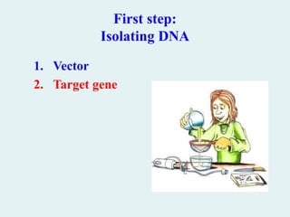 First step:
Isolating DNA
1. Vector
2. Target gene
 