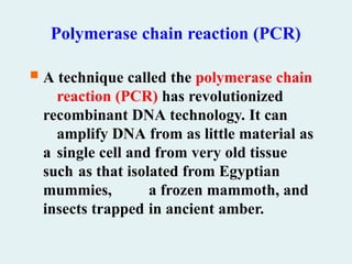 Polymerase chain reaction (PCR)
 A technique called the polymerase chain
reaction (PCR) has revolutionized
recombinant DNA technology. It can
amplify DNA from as little material as
a single cell and from very old tissue
such as that isolated from Egyptian
mummies, a frozen mammoth, and
insects trapped in ancient amber.
 