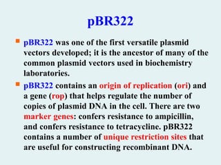 pBR322
 pBR322 was one of the first versatile plasmid
vectors developed; it is the ancestor of many of the
common plasmid vectors used in biochemistry
laboratories.
 pBR322 contains an origin of replication (ori) and
a gene (rop) that helps regulate the number of
copies of plasmid DNA in the cell. There are two
marker genes: confers resistance to ampicillin,
and confers resistance to tetracycline. pBR322
contains a number of unique restriction sites that
are useful for constructing recombinant DNA.
 