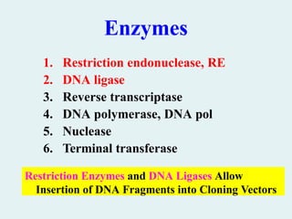 Enzymes
Restriction Enzymes and DNA Ligases Allow
Insertion of DNA Fragments into Cloning Vectors
1. Restriction endonuclease, RE
2. DNA ligase
3. Reverse transcriptase
4. DNA polymerase, DNA pol
5. Nuclease
6. Terminal transferase
 