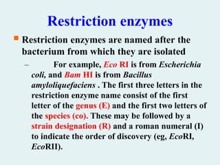Restriction enzymes
 Restriction enzymes are named after the
bacterium from which they are isolated
– For example, Eco RI is from Escherichia
coli, and Bam HI is from Bacillus
amyloliquefaciens . The first three letters in the
restriction enzyme name consist of the first
letter of the genus (E) and the first two letters of
the species (co). These may be followed by a
strain designation (R) and a roman numeral (I)
to indicate the order of discovery (eg, EcoRI,
EcoRII).
 
