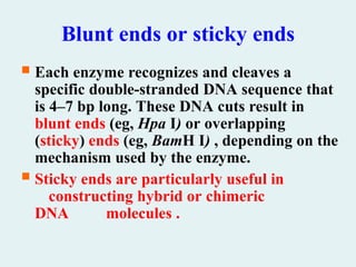 Blunt ends or sticky ends
 Each enzyme recognizes and cleaves a
specific double-stranded DNA sequence that
is 4–7 bp long. These DNA cuts result in
blunt ends (eg, Hpa I) or overlapping
(sticky) ends (eg, BamH I) , depending on the
mechanism used by the enzyme.
 Sticky ends are particularly useful in
constructing hybrid or chimeric
DNA molecules .
 