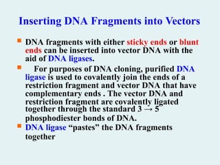 Inserting DNA Fragments into Vectors
 DNA fragments with either sticky ends or blunt
ends can be inserted into vector DNA with the
aid of DNA ligases.
 For purposes of DNA cloning, purified DNA
ligase is used to covalently join the ends of a
restriction fragment and vector DNA that have
complementary ends . The vector DNA and
restriction fragment are covalently ligated
together through the standard 3 → 5
phosphodiester bonds of DNA.
 DNA ligase “pastes” the DNA fragments
together
 