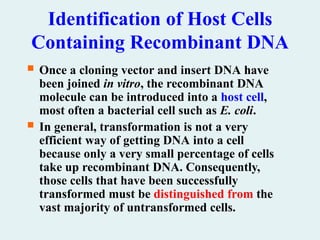 Identification of Host Cells
Containing Recombinant DNA
 Once a cloning vector and insert DNA have
been joined in vitro, the recombinant DNA
molecule can be introduced into a host cell,
most often a bacterial cell such as E. coli.
 In general, transformation is not a very
efficient way of getting DNA into a cell
because only a very small percentage of cells
take up recombinant DNA. Consequently,
those cells that have been successfully
transformed must be distinguished from the
vast majority of untransformed cells.
 