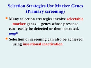 Selection Strategies Use Marker Genes
(Primary screening)
 Many selection strategies involve selectable
marker genes— genes whose presence
can easily be detected or demonstrated.
ampR
 Selection or screening can also be achieved
using insertional inactivation.
 