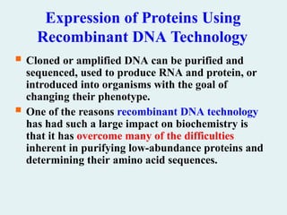 Expression of Proteins Using
Recombinant DNA Technology
 Cloned or amplified DNA can be purified and
sequenced, used to produce RNA and protein, or
introduced into organisms with the goal of
changing their phenotype.
 One of the reasons recombinant DNA technology
has had such a large impact on biochemistry is
that it has overcome many of the difficulties
inherent in purifying low-abundance proteins and
determining their amino acid sequences.
 