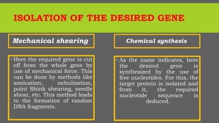 ISOLATION OF THE DESIRED GENE
Mechanical shearing
 Here the required gene is cut
off from the whole gene by
use of mechanical force. This
can be done by methods like
sonication, nebulization,
point Shink shearing, needle
shear, etc. This method leads
to the formation of random
DNA fragments.
Chemical synthesis
 As the name indicates, here
the desired gene is
synthesized by the use of
free nucleotides. For this, the
target protein is isolated and
from it, the required
nucleotide sequence is
deduced.
 