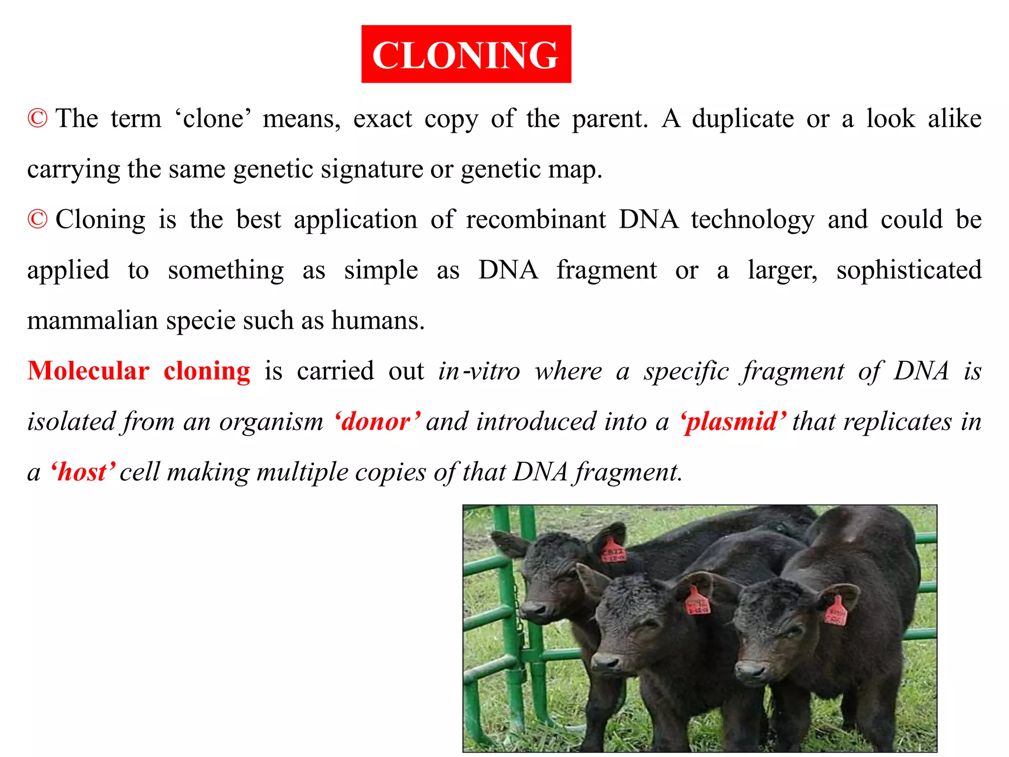 © The term ‘clone’ means, exact copy of the parent. A duplicate or a look alike
carrying the same genetic signature or genetic map.
© Cloning is the best application of recombinant DNA technology and could be
applied to something as simple as DNA fragment or a larger, sophisticated
mammalian specie such as humans.
Molecular cloning is carried out in‐vitro where a specific fragment of DNA is
isolated from an organism ‘donor’ and introduced into a ‘plasmid’ that replicates in
a ‘host’ cell making multiple copies of that DNA fragment.
CLONING
 