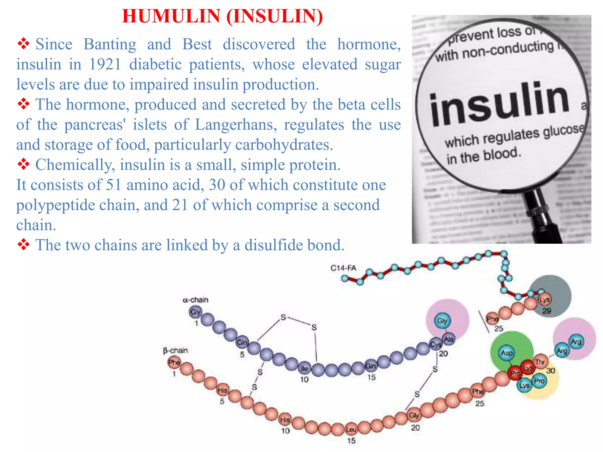  Since Banting and Best discovered the hormone,
insulin in 1921 diabetic patients, whose elevated sugar
levels are due to impaired insulin production.
 The hormone, produced and secreted by the beta cells
of the pancreas' islets of Langerhans, regulates the use
and storage of food, particularly carbohydrates.
 Chemically, insulin is a small, simple protein.
It consists of 51 amino acid, 30 of which constitute one
polypeptide chain, and 21 of which comprise a second
chain.
 The two chains are linked by a disulfide bond.
HUMULIN (INSULIN)
 