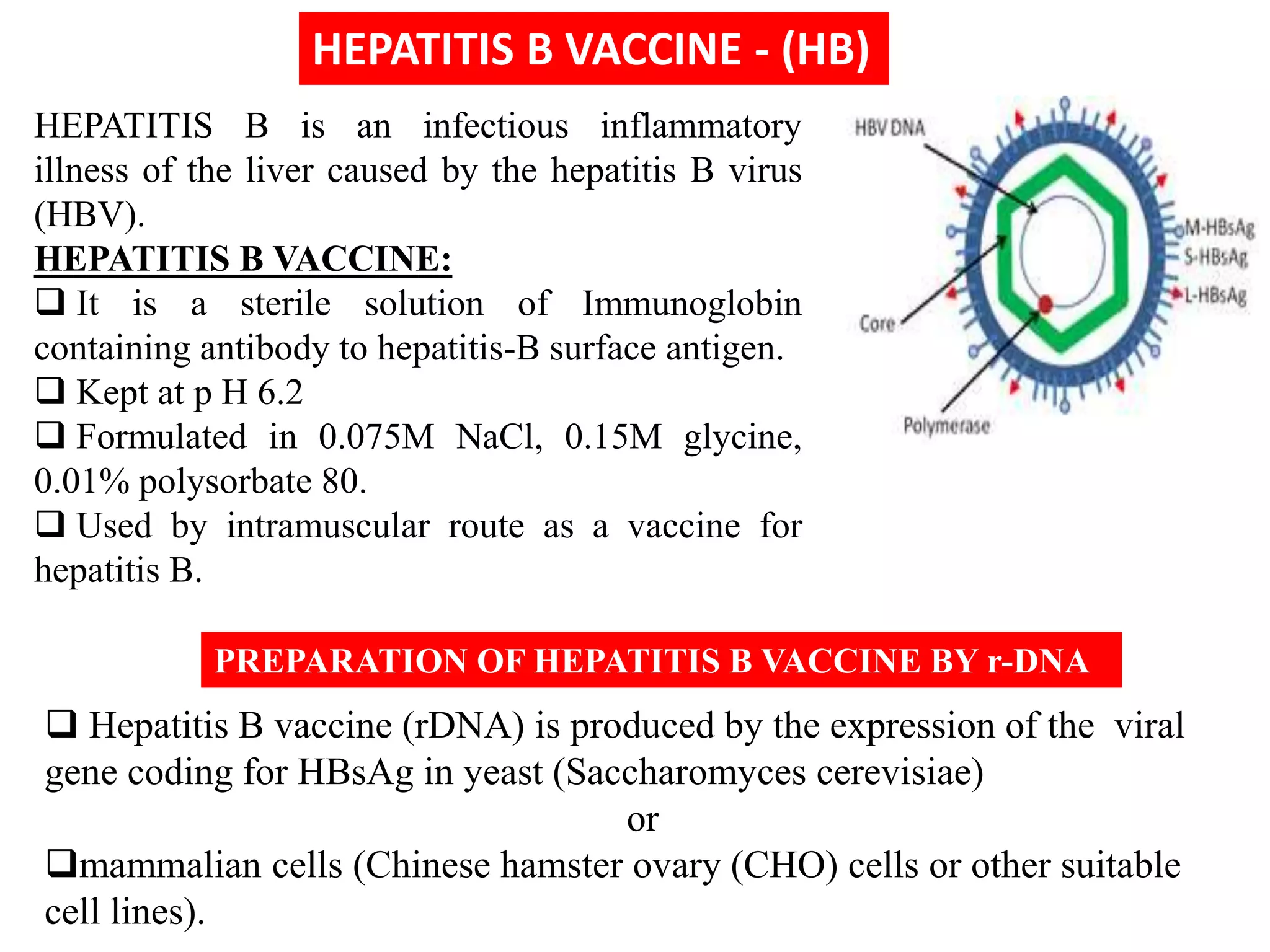  Hepatitis B vaccine (rDNA) is produced by the expression of the viral
gene coding for HBsAg in yeast (Saccharomyces cerevisiae)
or
mammalian cells (Chinese hamster ovary (CHO) cells or other suitable
cell lines).
HEPATITIS B VACCINE - (HB)
PREPARATION OF HEPATITIS B VACCINE BY r-DNA
HEPATITIS B is an infectious inflammatory
illness of the liver caused by the hepatitis B virus
(HBV).
HEPATITIS B VACCINE:
 It is a sterile solution of Immunoglobin
containing antibody to hepatitis-B surface antigen.
 Kept at p H 6.2
 Formulated in 0.075M NaCl, 0.15M glycine,
0.01% polysorbate 80.
 Used by intramuscular route as a vaccine for
hepatitis B.
 