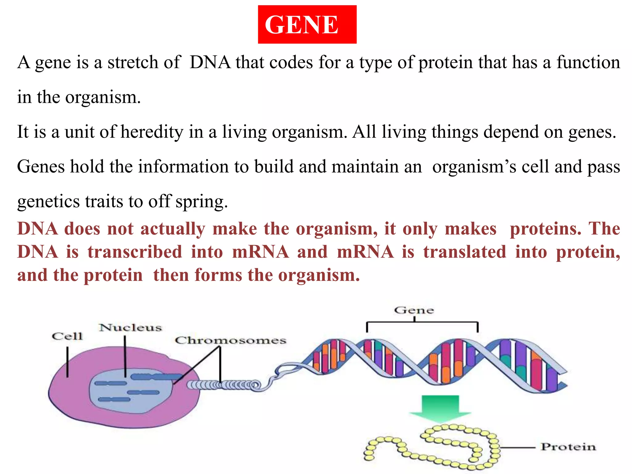 Recombinant DNA (r-DNA) technology | PPTX