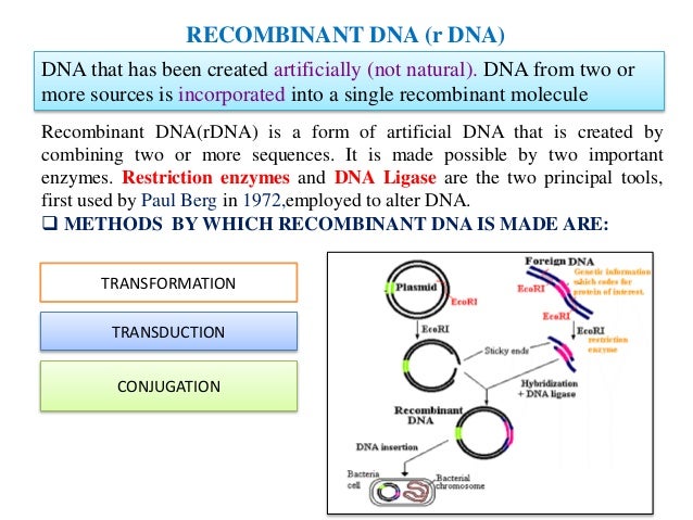 Recombinant DNA (r-DNA) technology