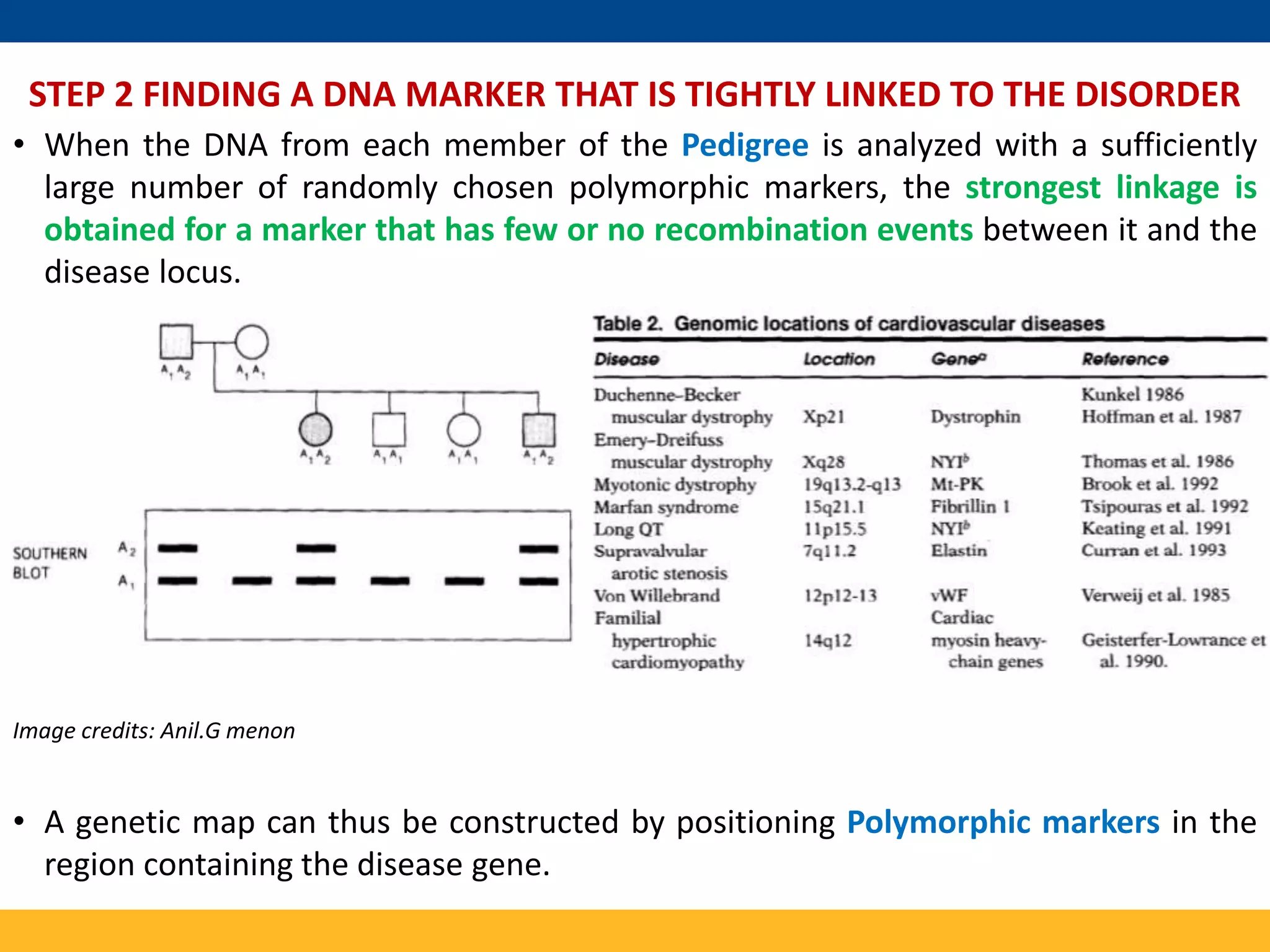 Mapping and Cloning of Human disease gene | PPTX