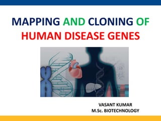 MAPPING AND CLONING OF
HUMAN DISEASE GENES
VASANT KUMAR
M.Sc. BIOTECHNOLOGY
 