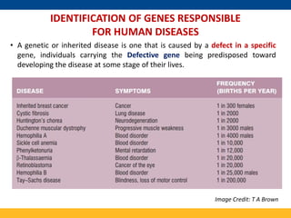 Mapping and Cloning of Human disease gene | PPTX