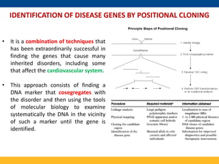 Mapping and Cloning of Human disease gene | PPTX