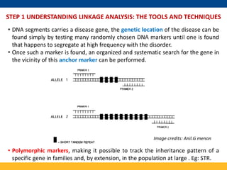 Mapping and Cloning of Human disease gene | PPTX