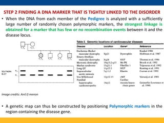 Mapping and Cloning of Human disease gene | PPTX