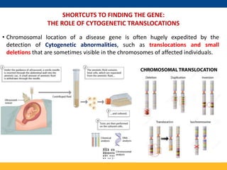Mapping and Cloning of Human disease gene | PPTX