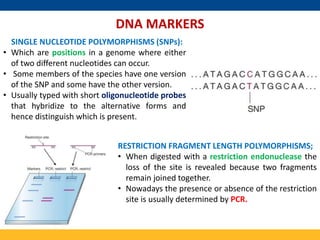 Mapping and Cloning of Human disease gene | PPTX