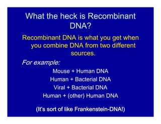 Recombinant dna technology | PDF