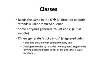 Classes
• Reads the same in the 5’ 3’ direction on both
  strands = Palindromic Sequence
• Some enzymes generate “blunt ends” (cut in
  middle)
• Others generate “sticky ends” (staggered cuts)
   – H-bonding possible with complementary tails
   – DNA ligase covalently links the two fragments together by
     forming phosphodiester bonds of the phosphate-sugar
     backbones
 