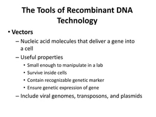 The Tools of Recombinant DNA
              Technology
• Vectors
  – Nucleic acid molecules that deliver a gene into
    a cell
  – Useful properties
     •   Small enough to manipulate in a lab
     •   Survive inside cells
     •   Contain recognizable genetic marker
     •   Ensure genetic expression of gene
  – Include viral genomes, transposons, and plasmids
 