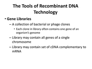 The Tools of Recombinant DNA
              Technology
• Gene Libraries
  – A collection of bacterial or phage clones
     • Each clone in library often contains one gene of an
       organism’s genome
  – Library may contain all genes of a single
    chromosome
  – Library may contain set of cDNA complementary to
    mRNA
 