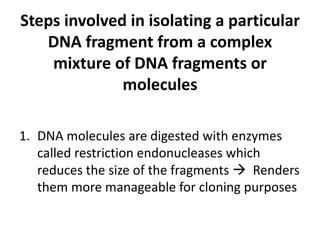 Steps involved in isolating a particular
   DNA fragment from a complex
    mixture of DNA fragments or
              molecules

1. DNA molecules are digested with enzymes
   called restriction endonucleases which
   reduces the size of the fragments  Renders
   them more manageable for cloning purposes
 