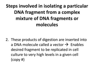 Steps involved in isolating a particular
   DNA fragment from a complex
    mixture of DNA fragments or
              molecules

2. These products of digestion are inserted into
   a DNA molecule called a vector  Enables
   desired fragment to be replicated in cell
   culture to very high levels in a given cell
   (copy #)
 