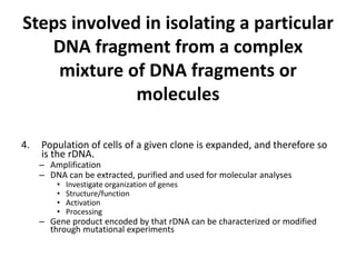 Steps involved in isolating a particular
   DNA fragment from a complex
    mixture of DNA fragments or
              molecules

4.   Population of cells of a given clone is expanded, and therefore so
     is the rDNA.
     – Amplification
     – DNA can be extracted, purified and used for molecular analyses
         •   Investigate organization of genes
         •   Structure/function
         •   Activation
         •   Processing
     – Gene product encoded by that rDNA can be characterized or modified
       through mutational experiments
 