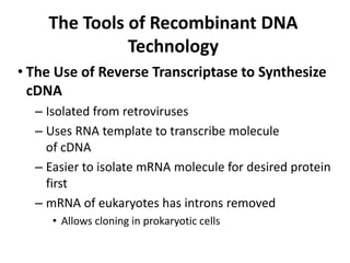 The Tools of Recombinant DNA
              Technology
• The Use of Reverse Transcriptase to Synthesize
  cDNA
  – Isolated from retroviruses
  – Uses RNA template to transcribe molecule
    of cDNA
  – Easier to isolate mRNA molecule for desired protein
    first
  – mRNA of eukaryotes has introns removed
     • Allows cloning in prokaryotic cells
 