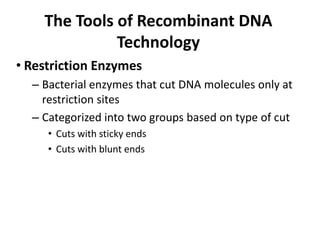 The Tools of Recombinant DNA
              Technology
• Restriction Enzymes
  – Bacterial enzymes that cut DNA molecules only at
    restriction sites
  – Categorized into two groups based on type of cut
     • Cuts with sticky ends
     • Cuts with blunt ends
 