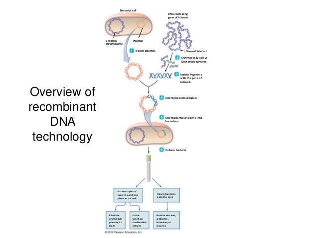 pdf bunga tabel download lengkap Refrence Technology How Dna Gallery Guide Diagram And To pdf bunga tabel download lengkap Refrence Technology How Dna Gallery Guide Diagram And To