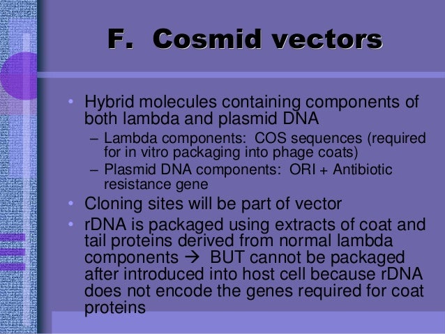 recombinant dna technology