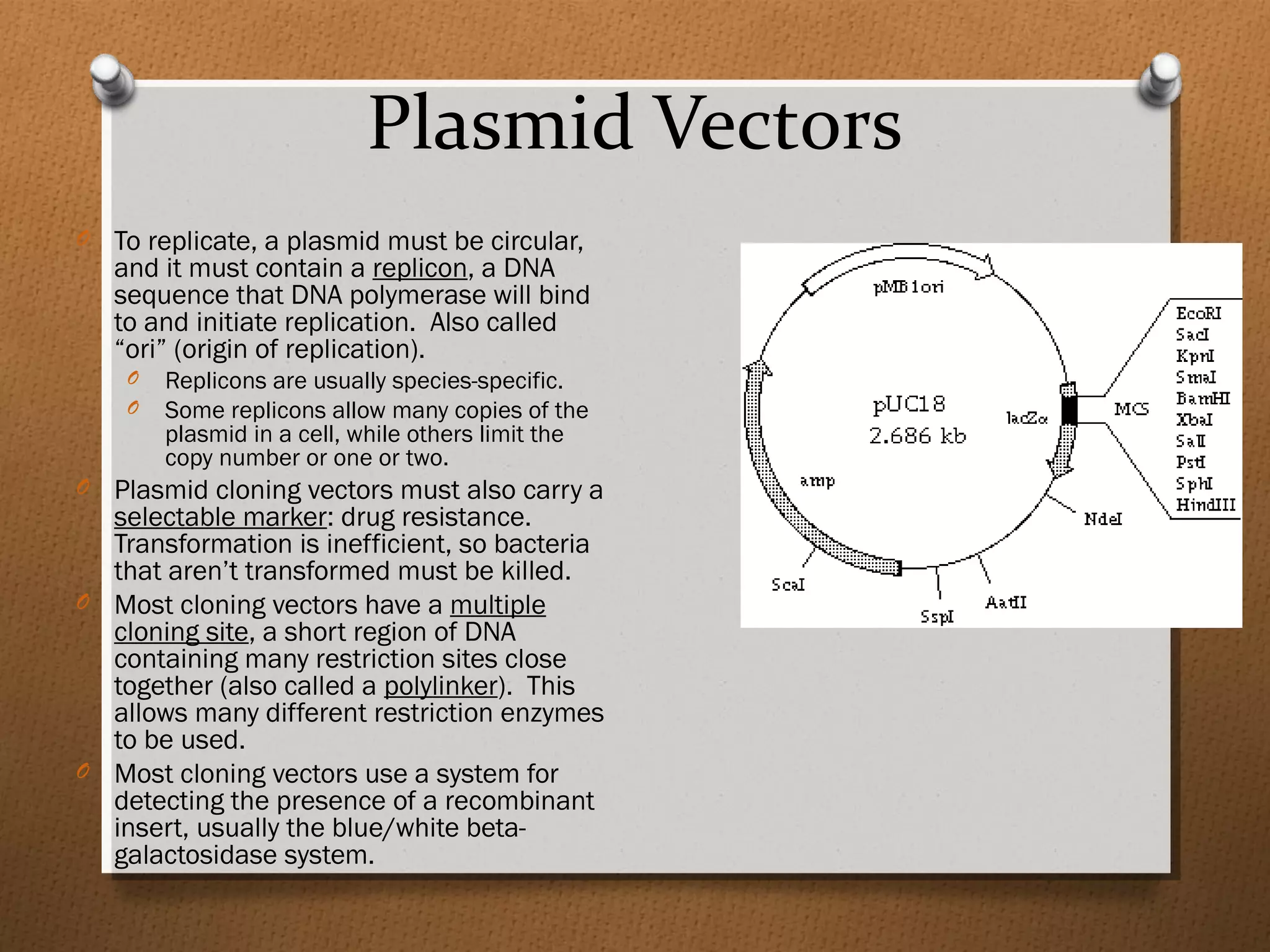 Plasmid Vectors
O To replicate, a plasmid must be circular,
and it must contain a replicon, a DNA
sequence that DNA polymerase will bind
to and initiate replication. Also called
“ori” (origin of replication).
O Replicons are usually species-specific.
O Some replicons allow many copies of the
plasmid in a cell, while others limit the
copy number or one or two.
O Plasmid cloning vectors must also carry a
selectable marker: drug resistance.
Transformation is inefficient, so bacteria
that aren’t transformed must be killed.
O Most cloning vectors have a multiple
cloning site, a short region of DNA
containing many restriction sites close
together (also called a polylinker). This
allows many different restriction enzymes
to be used.
O Most cloning vectors use a system for
detecting the presence of a recombinant
insert, usually the blue/white beta-
galactosidase system.
 