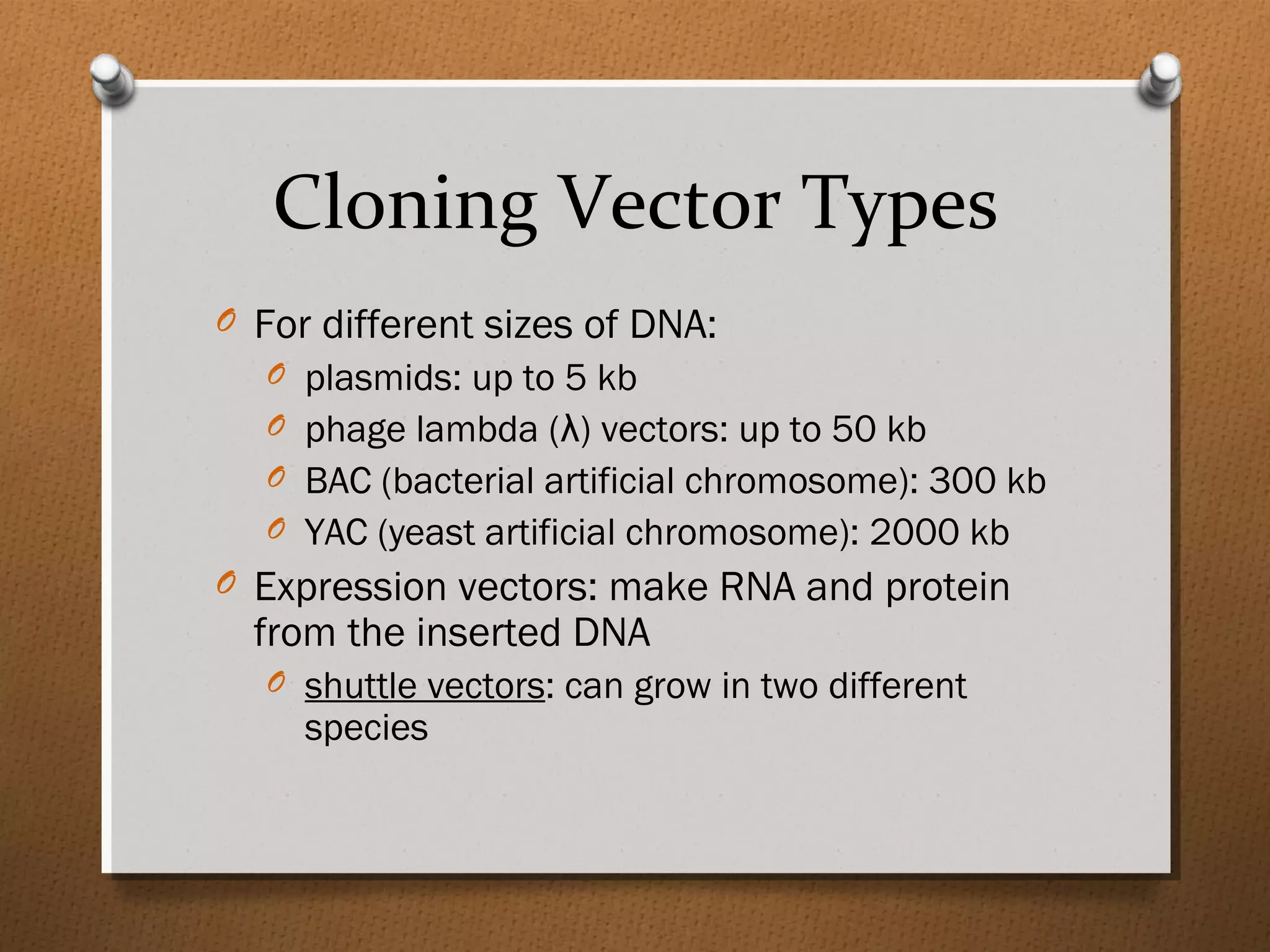 Cloning Vector Types
O For different sizes of DNA:
O plasmids: up to 5 kb
O phage lambda (λ) vectors: up to 50 kb
O BAC (bacterial artificial chromosome): 300 kb
O YAC (yeast artificial chromosome): 2000 kb
O Expression vectors: make RNA and protein
from the inserted DNA
O shuttle vectors: can grow in two different
species
 