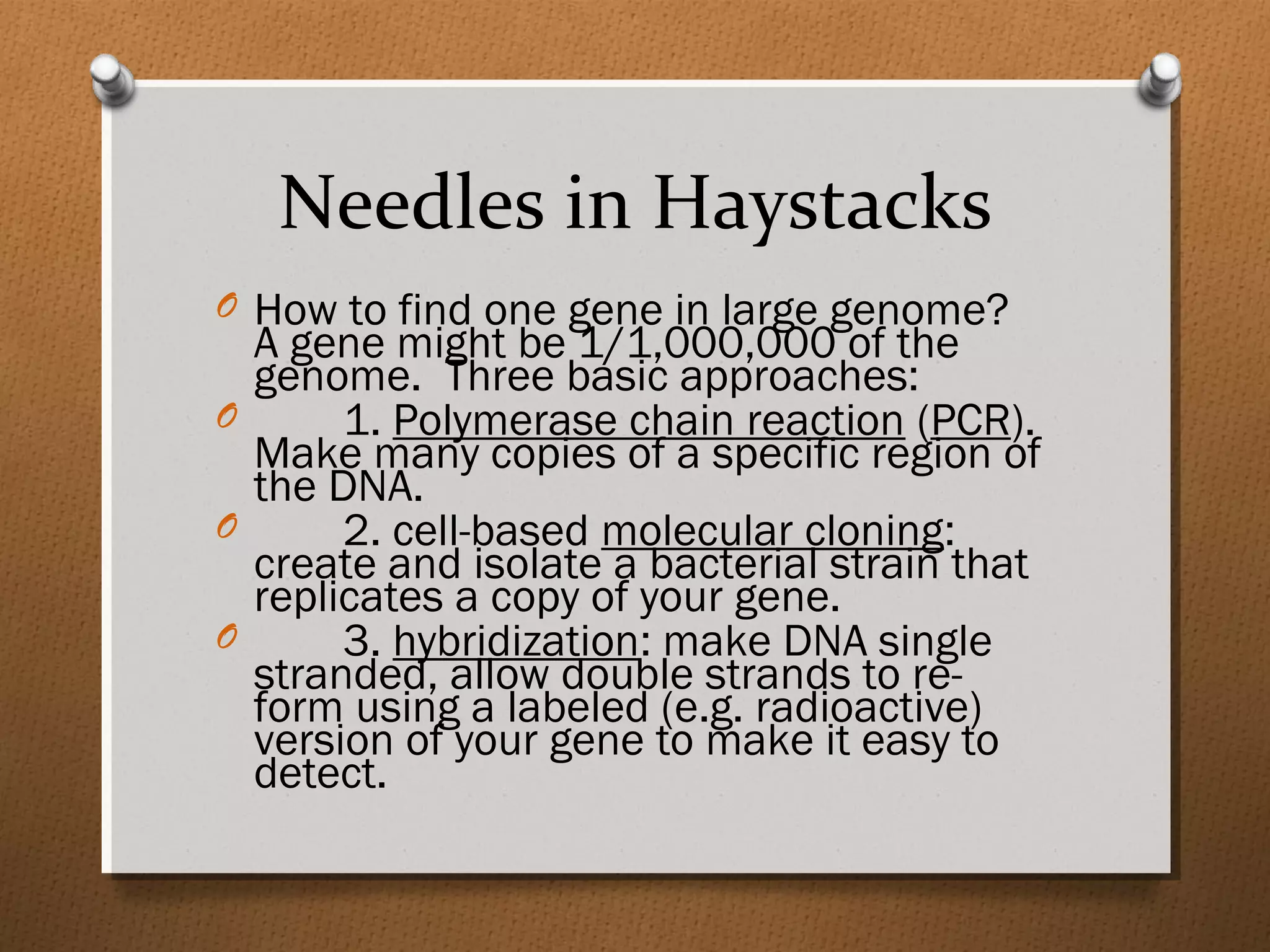 Needles in Haystacks
O How to find one gene in large genome?
A gene might be 1/1,000,000 of the
genome. Three basic approaches:
O 1. Polymerase chain reaction (PCR).
Make many copies of a specific region of
the DNA.
O 2. cell-based molecular cloning:
create and isolate a bacterial strain that
replicates a copy of your gene.
O 3. hybridization: make DNA single
stranded, allow double strands to re-
form using a labeled (e.g. radioactive)
version of your gene to make it easy to
detect.
 