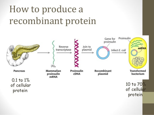 Recombinant dna technology