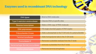 Enzymes usedin recombinant DNA technology
• Bind to DNA molecules
DNA ligase
• Cleaves DNA at specific sites
Type II restriction endonuclease
• Make a DNA copy of RNA molecule
Reverse transcriptase
• Fill single stranded gapes of DNA duplex
DNA polymerase I
• Adds a phosephate to the 5'-OH end of a polynucleotide
Polynycleotide Kinase
• Adds homopolymer tails to the 3'-OH ends
Terminal transferase
• Removes nucleotide residues from the 3' ends
Exonuclease III
• removes nucleotides from the 5' ends
Bacteriophage {lamda} exonuclease
• Removes terminal phosphates
Alkaline phosphatase
 