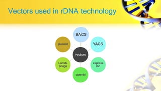 Vectors used in rDNA technology
vectors
BACS
YACS
express
ion
cosmid
Lamda
phage
plasmid
 