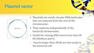 Plasmid vector
• Plasmids are small, circular DNA molecules
that are separate from the rest of the
chromosome.
• They replicate independently of the
bacterial chromosome.
• Useful for cloning DNA inserts less that 20
kb (kilobase pairs).
• Inserts larger than 20 kb are lost easily in
the bacterial cell.
 